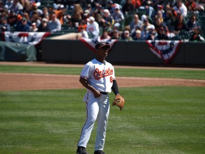OriolesRays015.jpg