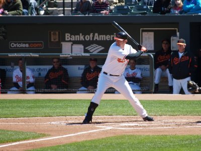 OriolesRays019.jpg