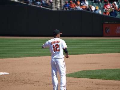 OriolesRays027.jpg