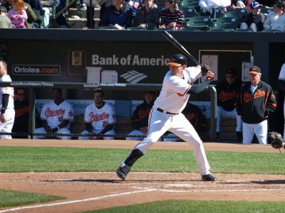 OriolesRays031.jpg