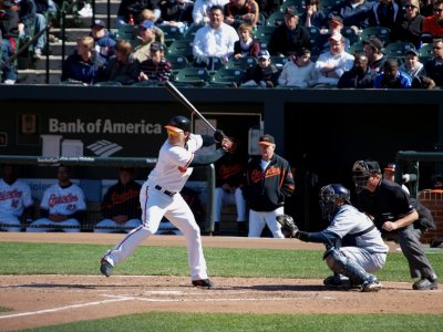 OriolesRays034.jpg