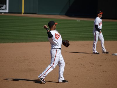 OriolesRays035.jpg