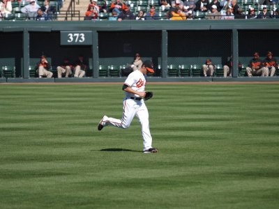 OriolesRays043.jpg