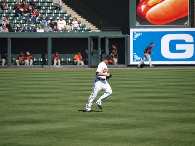 OriolesRays044.jpg