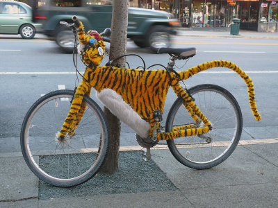 Stripes and Spokes - The Purrfect Ride