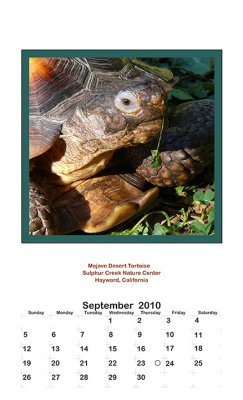 2010 Portrait Calendar - September