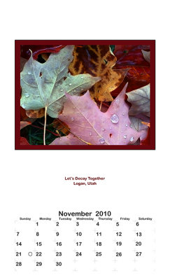2010 Portrait Calendar - November
