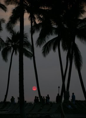 Hawaiian  Sunset