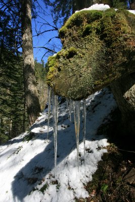 Eagle Creek Trail