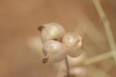 g1/34/696234/3/112727356.SFC3EXPe.jpg