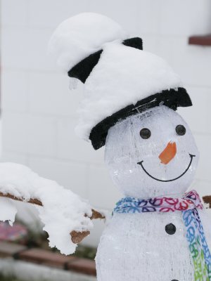 Snowy Snowman.jpg