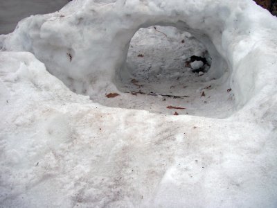 Snow Fort