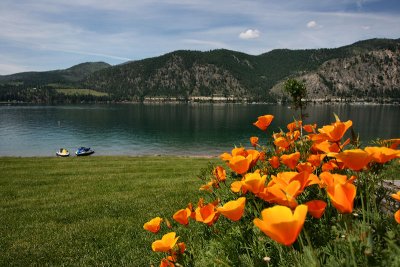Lake Chelan from Willow Point Park
