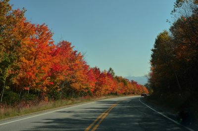 Colors Along The Kancamagus Highway
