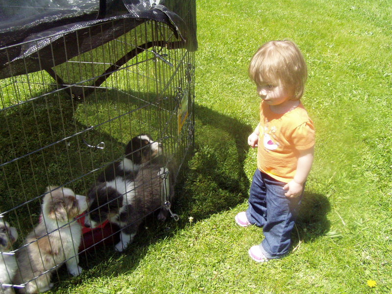 Lilli visiting the puppies