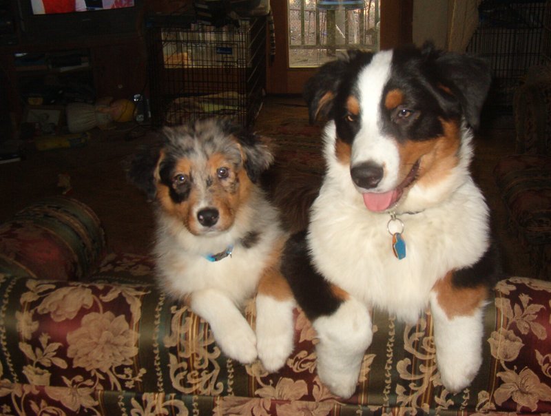 Spring and Ajax