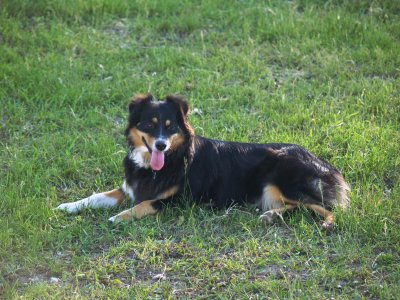 g1/34/715534/3/106771370.2ZBnN2oz.jpg