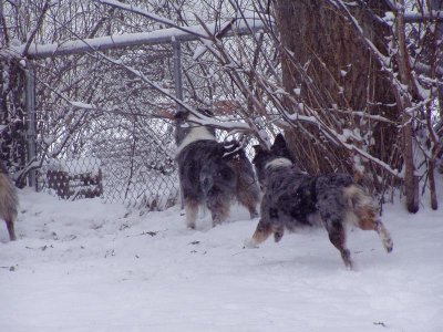 g1/34/715534/3/132009742.0nuKbe3L.jpg