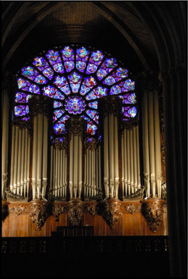 Paris Notre Dame (1044).jpg
