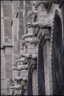 Paris Notre Dame (1048).jpg