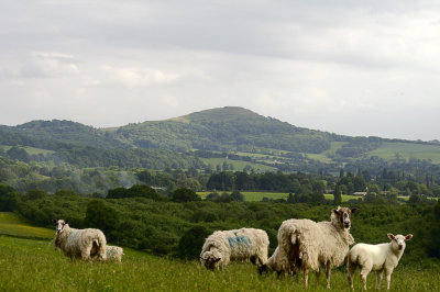 another view back to hills