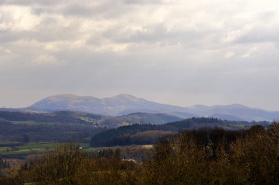 view of Malverns from Tedstone Delamere