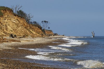Covehithe beach and tree-stump point