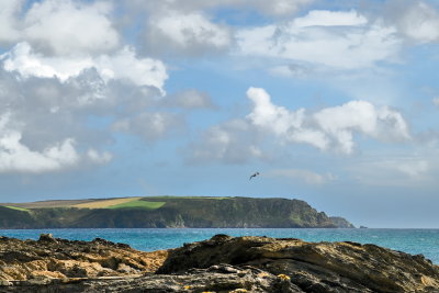 Nare Head from Creek Stephen point