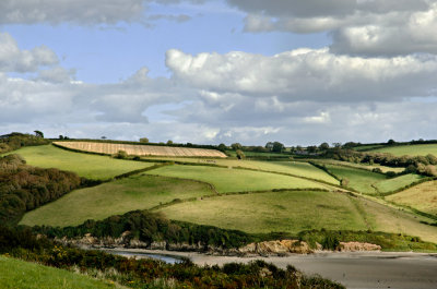 Erme estuary 2