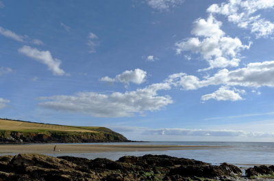 Erme estuary 3