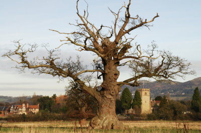 Colwall church on a slight rise from the water meadows along the Cradley Brook