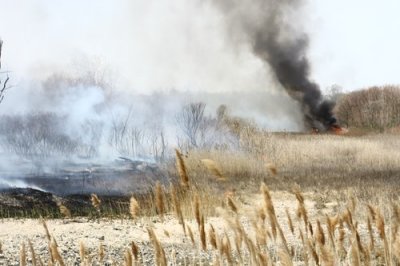 Marsh Fire / Silver Sands State Park  / Milford CT / April 2008