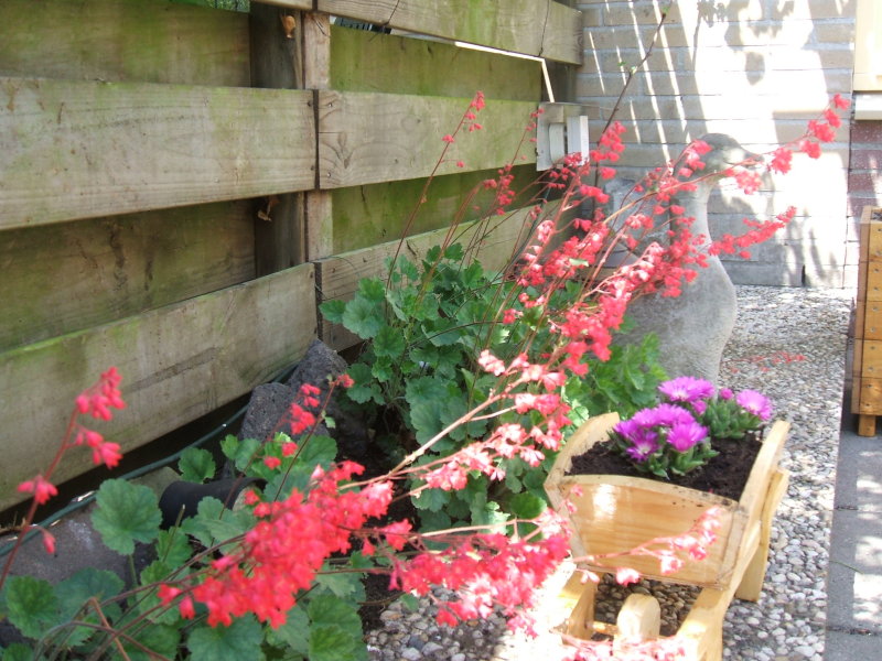 Tuin 24 Mei 2008