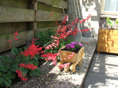 Tuin 24 Mei 2008