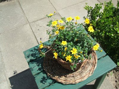 Tuin 24 Mei 2008