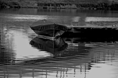 Boat, Aquatic Park, Berkeley
