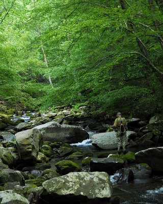 Great Smoky Mountains National Park v2.0