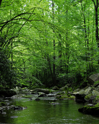 gsmnp1_010960a.jpg