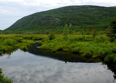 Acadian Shores