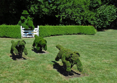 Ladew Topiary Gardens