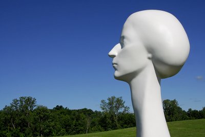 A Field of Sculpture