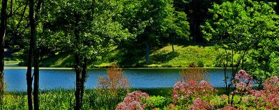 IMG_1656b.jpg