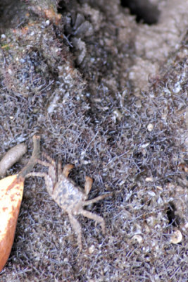 DSC_3809 copy.jpg