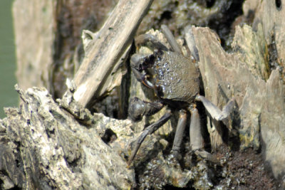 DSC_3816 copy.jpg