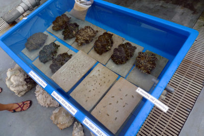 P1010839 copy.jpg