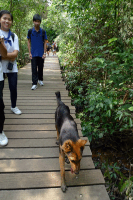 P1010894.gif
