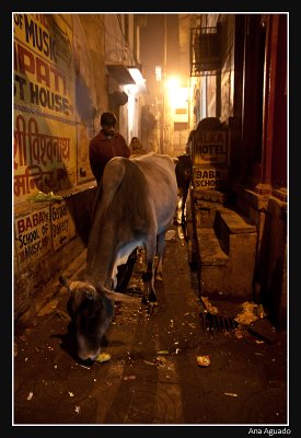 Varanasi