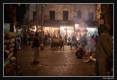 Varanasi