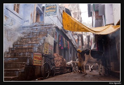 Varanasi