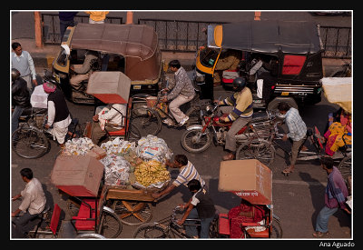 Jaipur